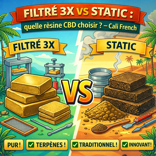 Filtré 3x vs Static : quelle résine CBD choisir ? – Cali French