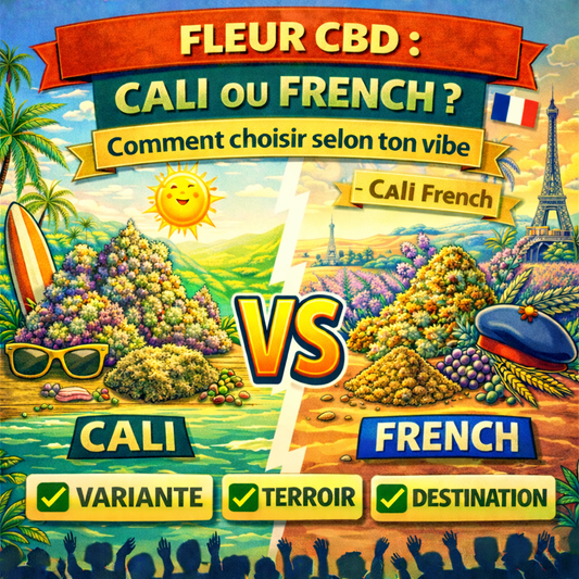 Fleur CBD : Cali ou French ? Comment choisir selon ton vibe – Cali French