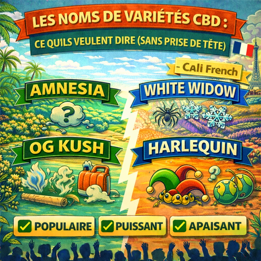 Les noms de variétés CBD : ce qu’ils veulent dire (sans prise de tête) – Cali French
