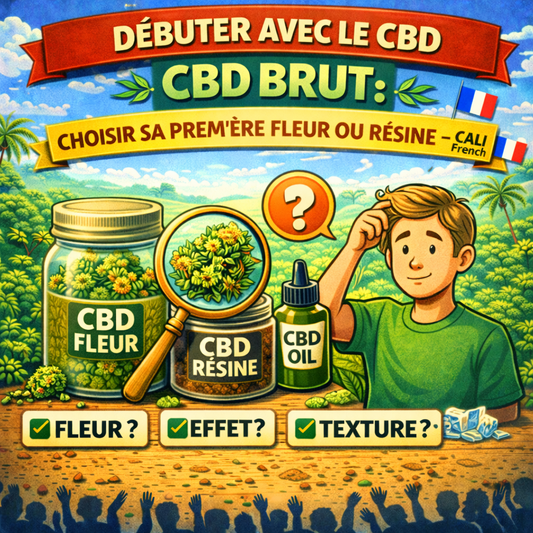 Débuter avec le CBD brut : choisir sa première fleur ou résine – Cali French