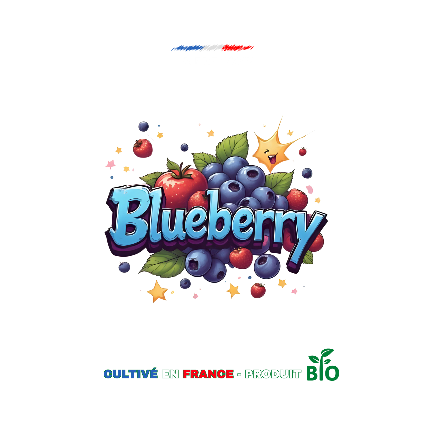 🫐 Blueberry CBD – Douce, fruitée et ultra relax