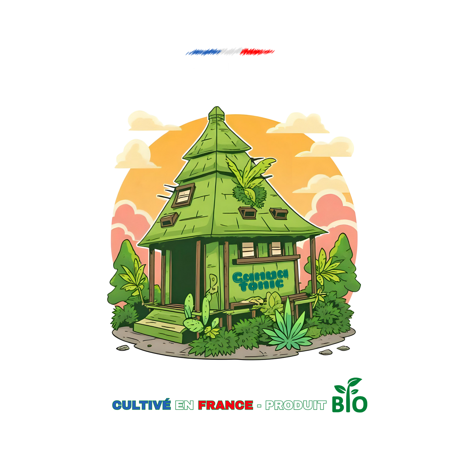 💫 Cannatonic CBD – Équilibrée, apaisante et pleine d’énergie zen 🌱