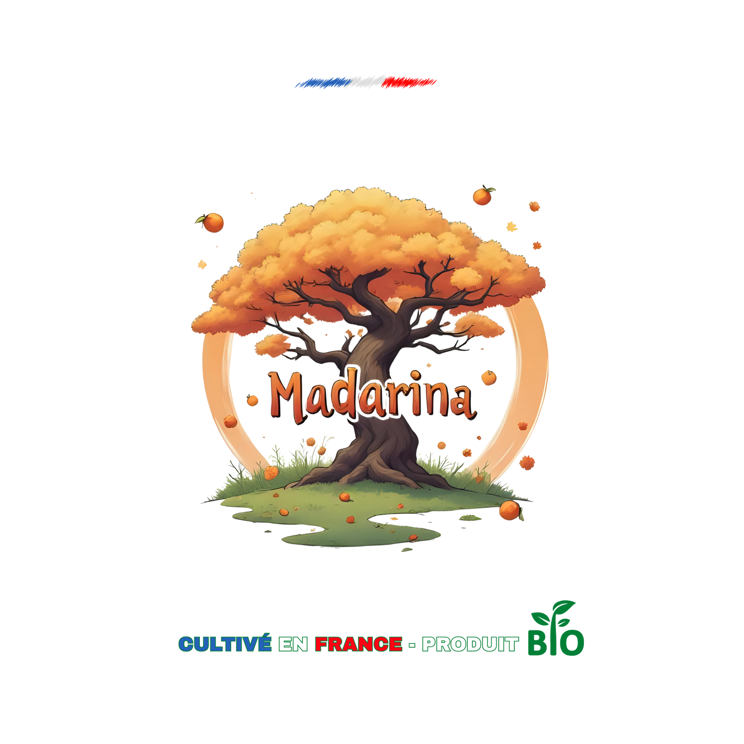 🍊 Mandarina CBD – Fraîche, pétillante et pleine de soleil ☀️