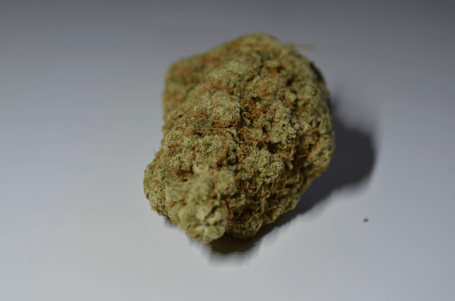 Cali Mango